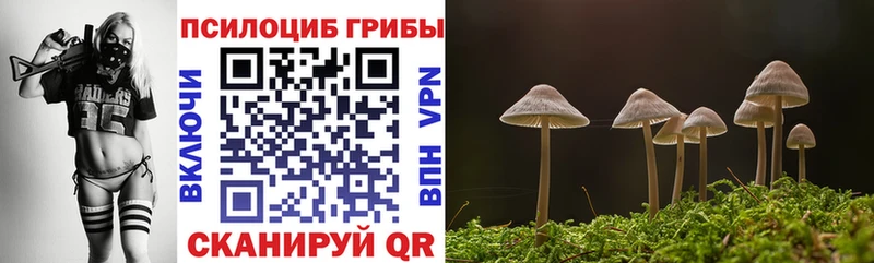 Псилоцибиновые грибы Psilocybine cubensis  Ишимбай 
